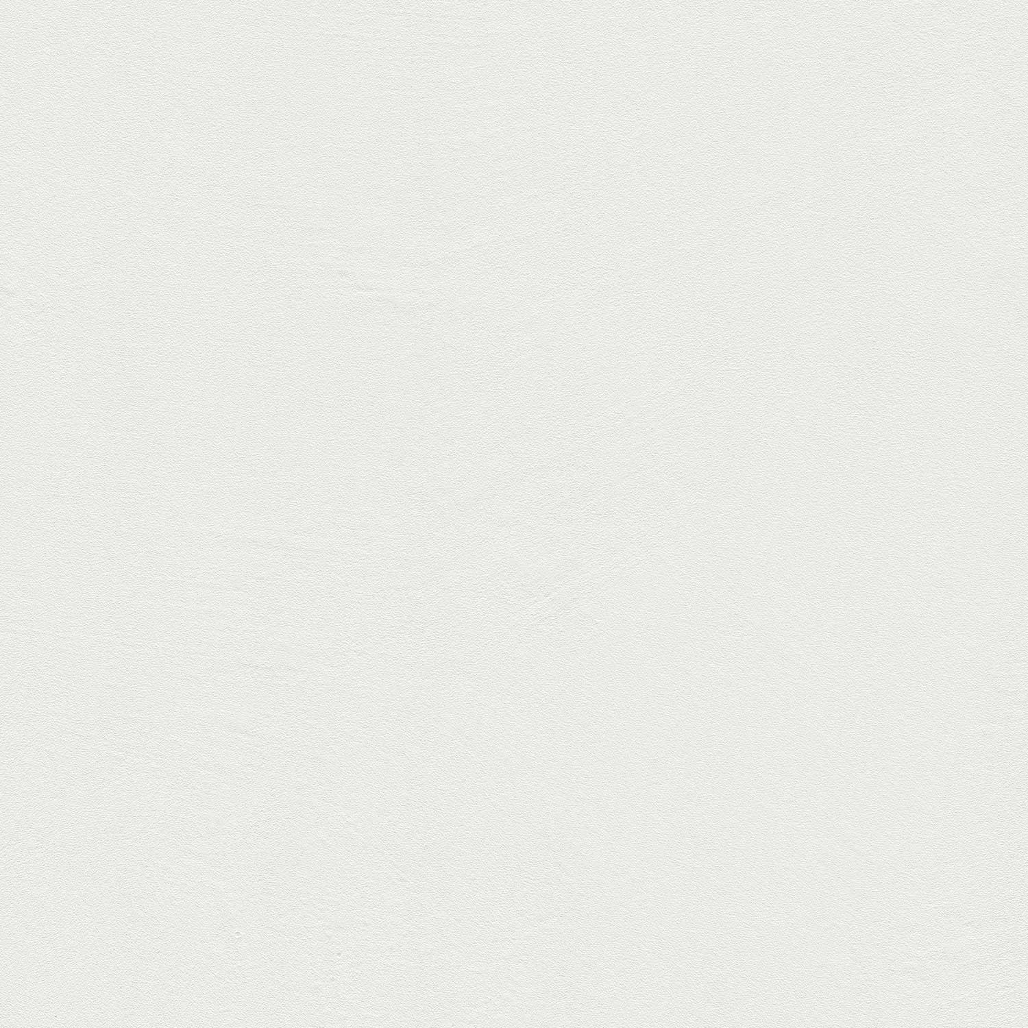 ©FRESCOLORI CARAMOR® Bottom