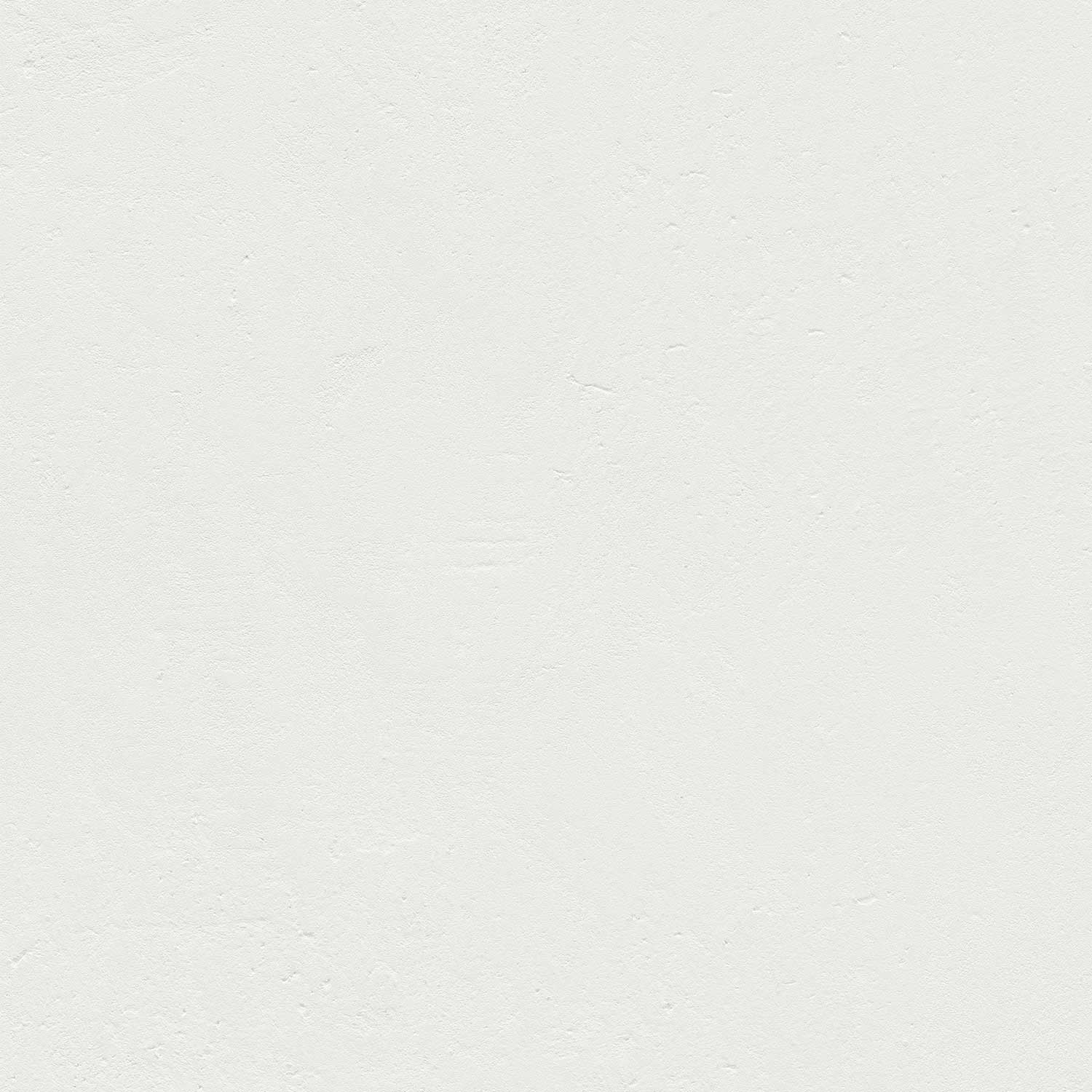 ©FRESCOLORI CARAMOR® Concrete Wild
