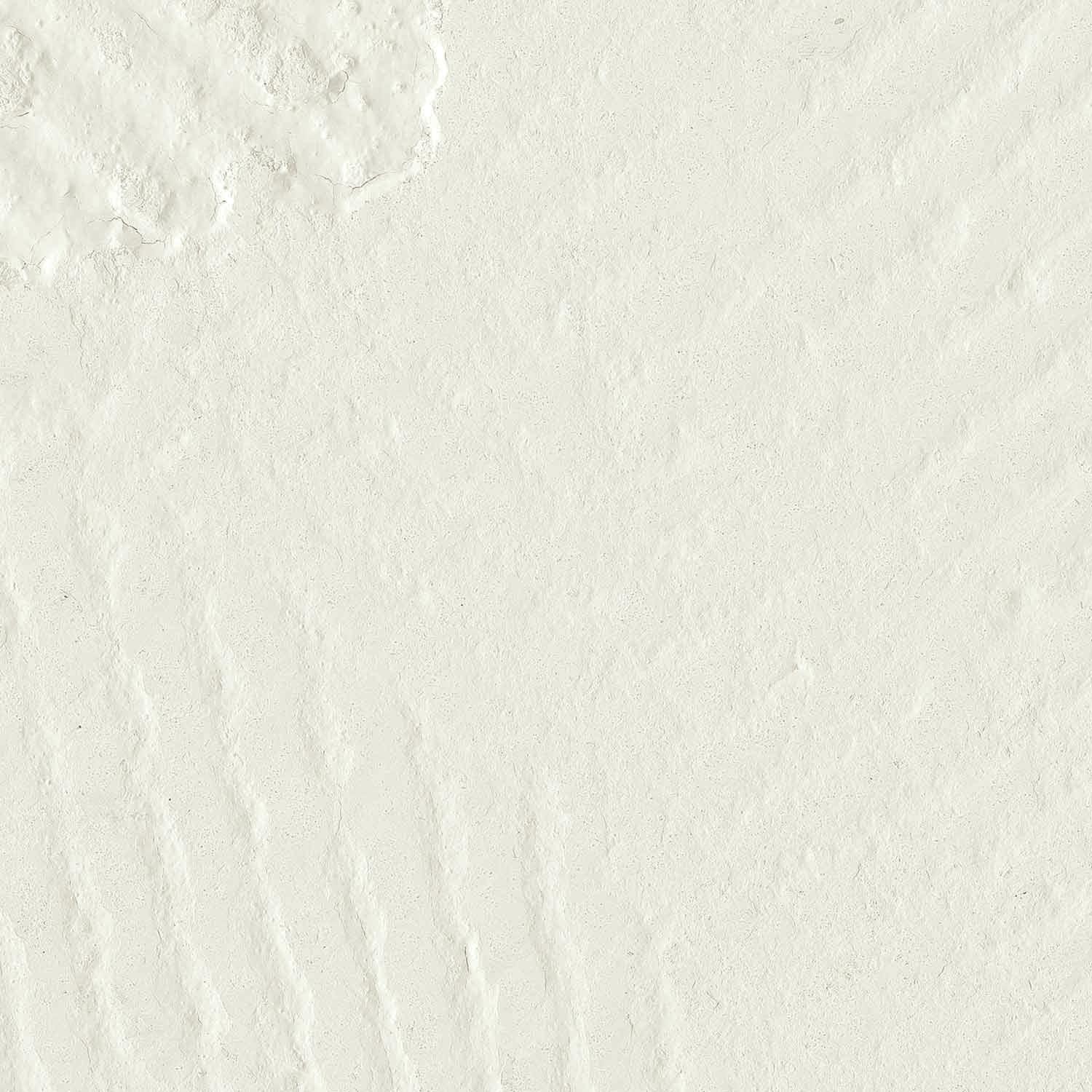 Used-Alpaca